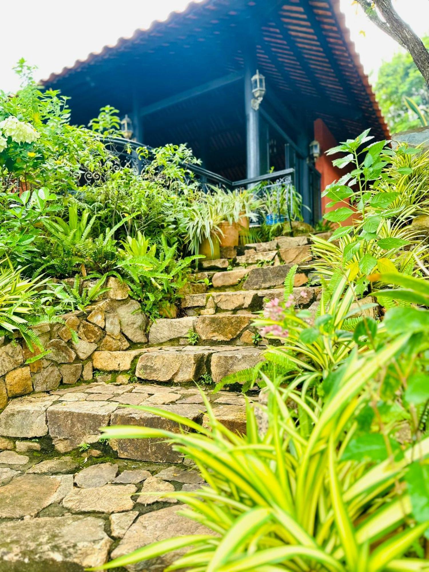 Binh An Village Vung Tau Eksteriør bilde