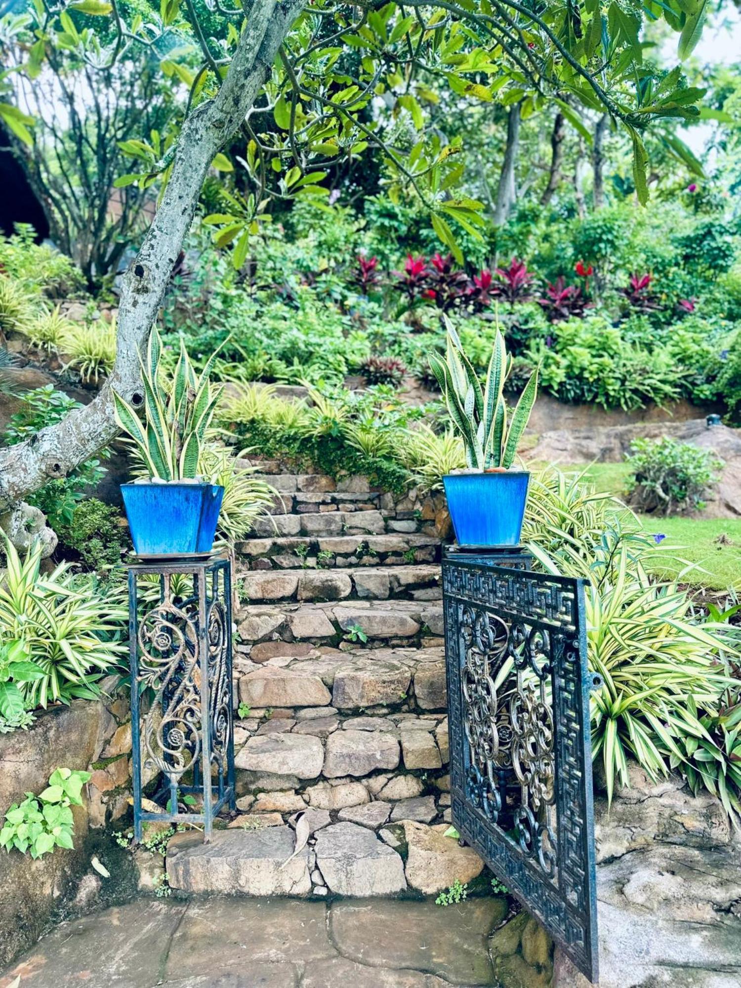 Binh An Village Vung Tau Eksteriør bilde